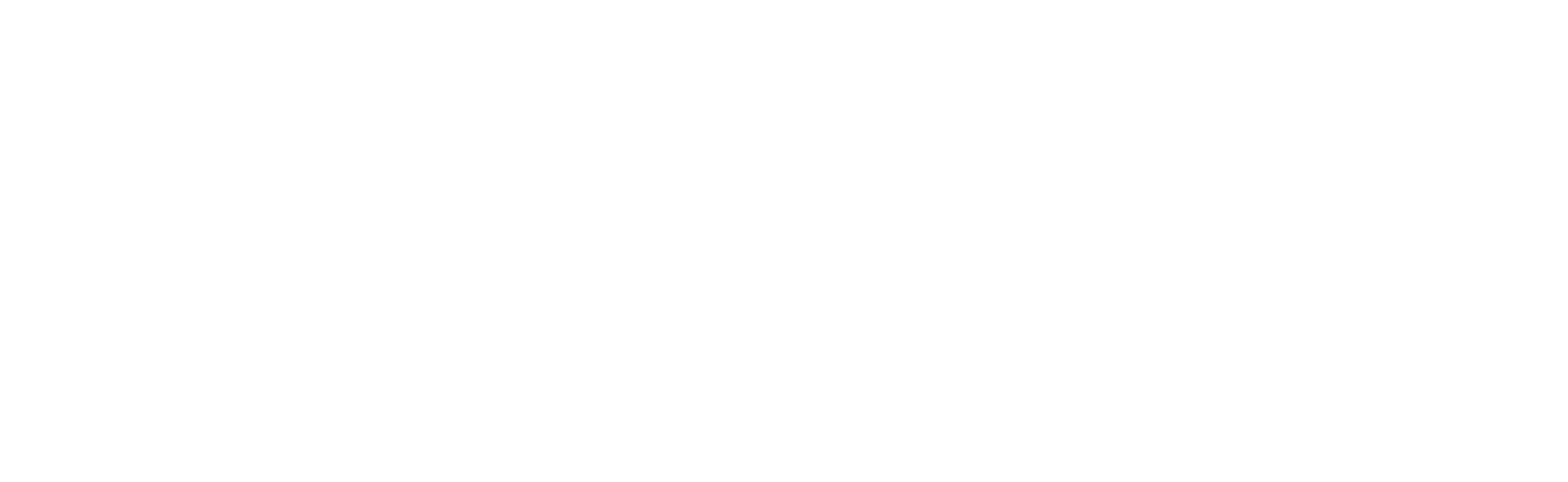 Annecy Festival